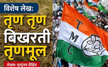 विशेष लेख: तृण तृण बिखरती तृणमूल