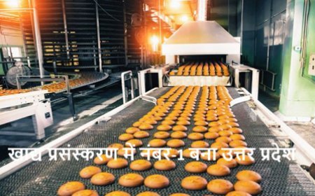खाद्य प्रसंस्करण में नंबर-1 बना उत्तर प्रदेश, देश का सबसे बड़ा फूड प्रोसेसिंग हब