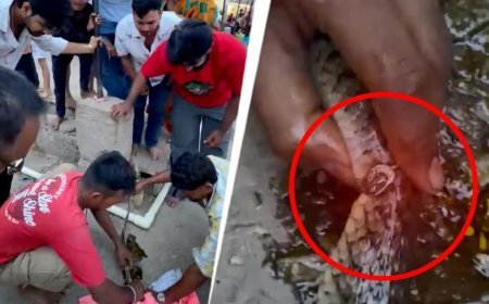पुष्कर के पवित्र सरोवर के वराह घाट के समीप चांदी की अंगूठी में फंसा असहाय सांप, जीवन और मृत्यु के बीच कई घंटों तक तड़पा।