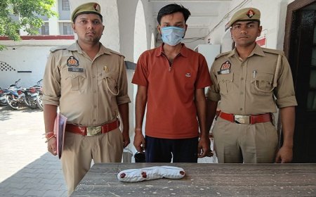 सोशल मीडिया पर तमंचे से फायरिंग का वीडियो वायरल, आरोपी अवैध हथियार सहित गिरफ्तार