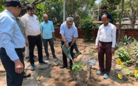 Lucknow : राष्ट्रीय स्तर पर स्वच्छता व हरियाली में यूपी के परिषदीय विद्यालयों का परचम, 6 परिषदीय और 2 कस्तूरबा गांधी विद्यालय राष्ट्रीय स्तर पर चयनित