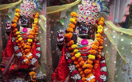 Hardoi : हरदोई में बांके बिहारी लाल सरकार का तीसरा प्राण प्रतिष्ठा उत्सव कल, भव्य आयोजन की तैयारियां पूरीं