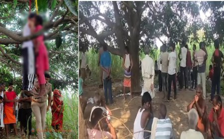 Sitapur : सीतापुर में प्रेमी युगल ने आम के बाग में फंदा लगाकर दी जान, इलाके में मची सनसनी