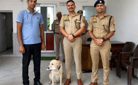 Sambhal : मासूम से दरिंदगी का आरोपी ‘मैरी’ ने पकड़वाया, सूंघकर पहुंची दरिंदे के घर; SP ने दिया 10 हजार का इनाम