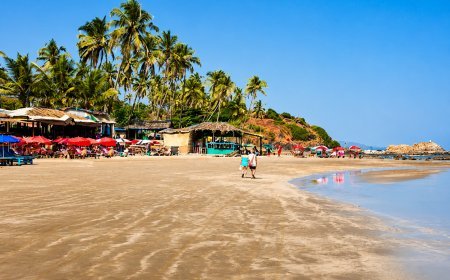 Goa Beach Accident: नशा, जिद और मौत; गोवा में चट्टान पर रील या सेल्फी के चक्कर में लहरों संग बहा सैलानी