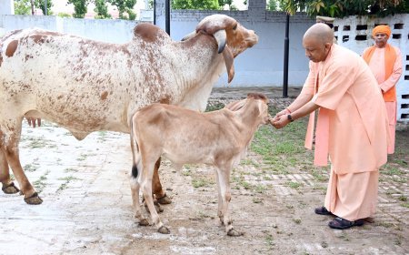 Gorakhpur : गोरखनाथ मंदिर में मुख्यमंत्री ने सुनीं फरियादियों की समस्याएं, अधिकारियों को दिए तुरंत मदद के निर्देश
