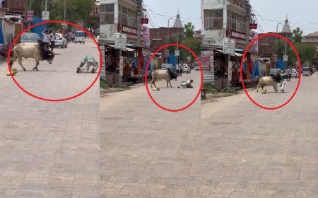 Sitapur : नैमिषधाम में बेकाबू सांड के हमले से तीन लोग गंभीर रूप से घायल, नगर पालिका की टीम ने कड़ी मशक्कत के बाद पाया काबू