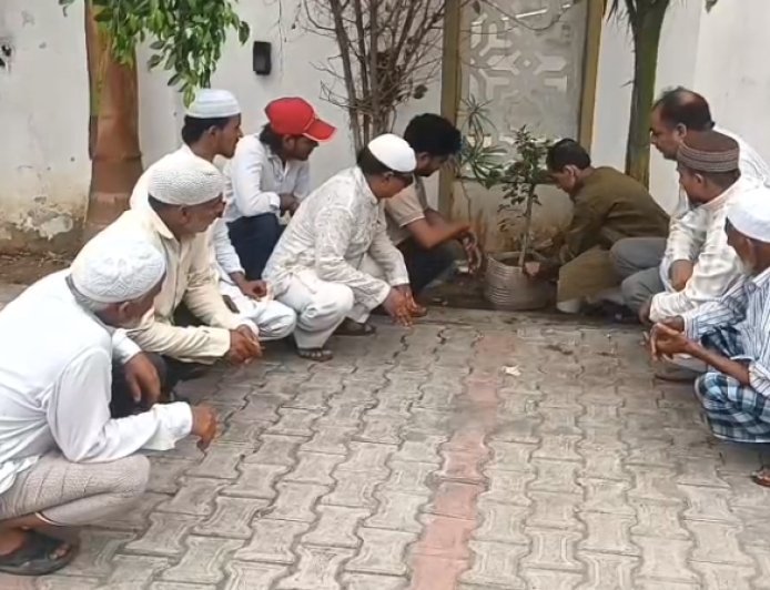 Sambhal: हर घर में था नीम-बकायन का पेड़, अब कंक्रीट के जंगल में घुट रही सांसें... सम्भल से उठी हरियाली बचाने की आवाज़