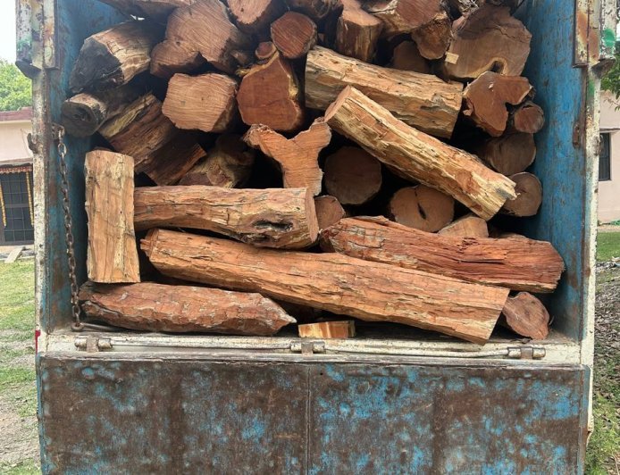 Bajpur : बाजपुर में वन विभाग की बड़ी कार्रवाई, पिकअप से 40 कुंतल अवैध खैर की लकड़ी बरामद