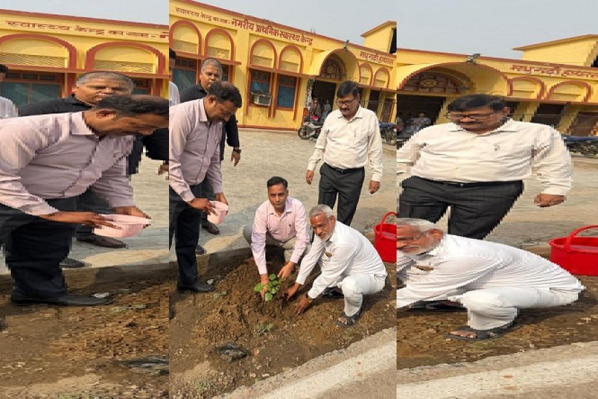 Hathras: विश्व पर्यावरण दिवस पर सीएमओ कार्यालय परिसर में हुआ पौधरोपण