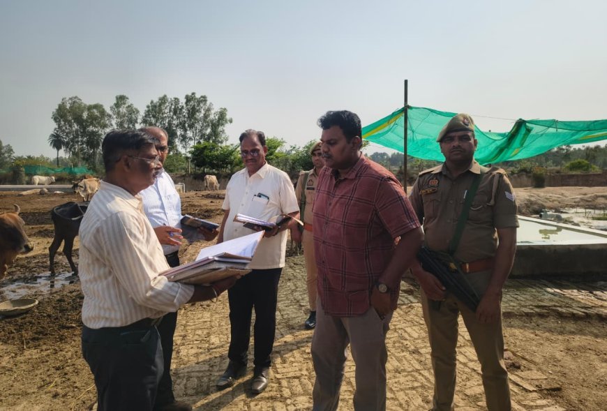 Sitapur : गौआश्रय स्थल में बदहाली देखकर बिफरे जिलाधिकारी, ग्राम विकास अधिकारी सस्पेंड और कई को नोटिस