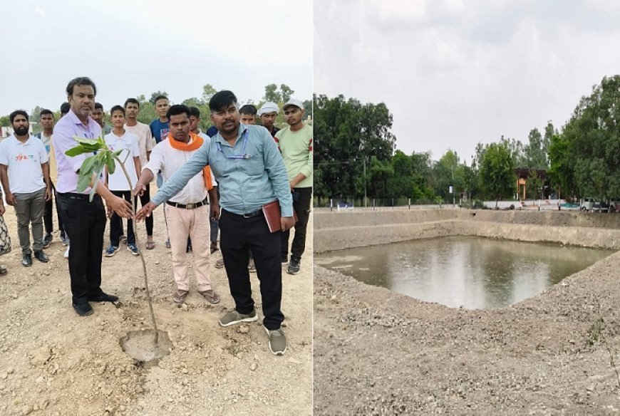 Hardoi: तालाबों के पुनर्जीवन से संवर रहा पर्यावरण, विश्व पर्यावरण दिवस पर हुआ पौधरोपण