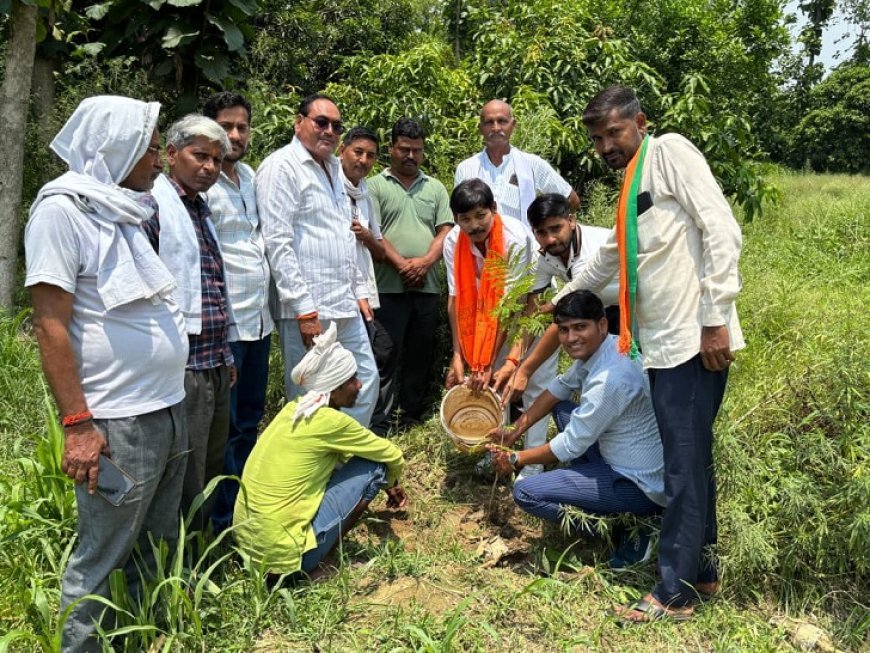 Hardoi: विश्व पर्यावरण दिवस पर अंतर्राष्ट्रीय पर्वतारोही अभिनीत मौर्य ने चलाया वृक्षारोपण अभियान