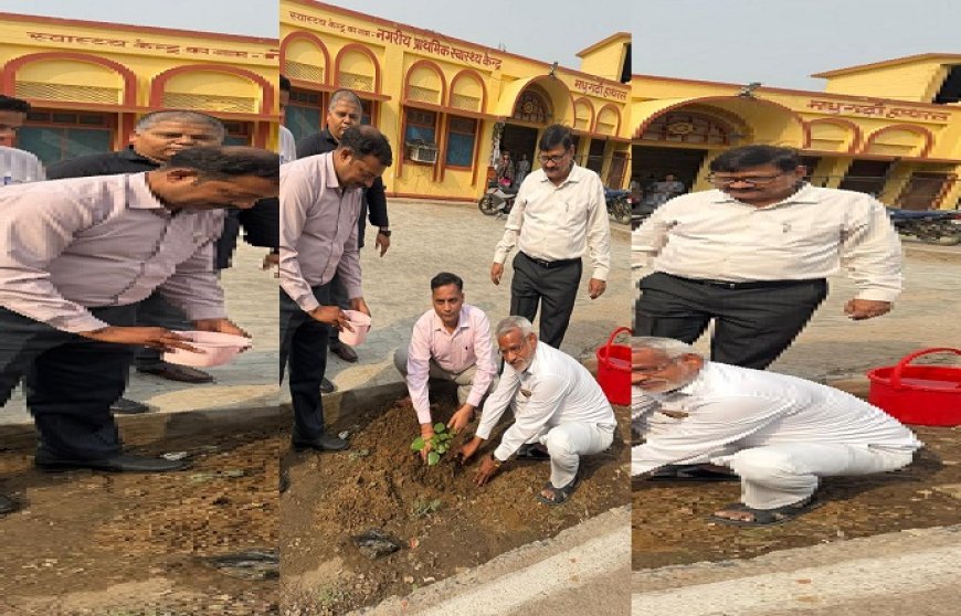 Hathras: विश्व पर्यावरण दिवस पर सीएमओ कार्यालय परिसर में हुआ पौधरोपण