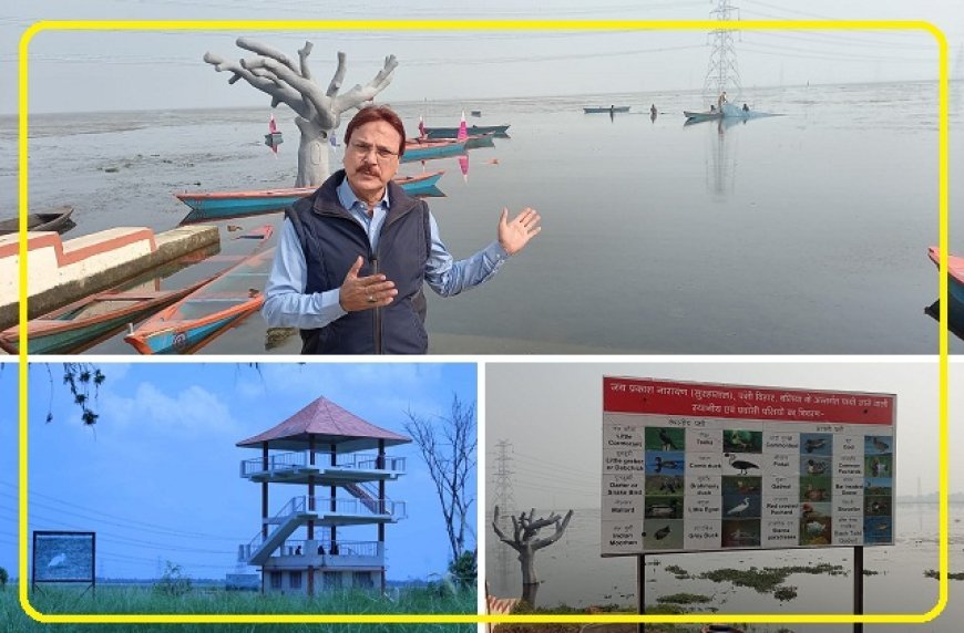 Ballia: बलिया का सुरहा ताल बना भारत का 100 वां रामसर स्थल, प्रधानमंत्री की घोषणा के बाद चमका अंतरराष्ट्रीय फलक पर