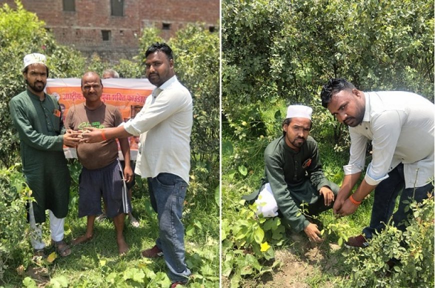 Hardoi: दिव्यांग युवा शक्ति संगठन के 6वें स्थापना दिवस पर देशभर में हुआ वृक्षारोपण, कुशवाहा डीके आजाद के नेतृत्व में चला अभियान
