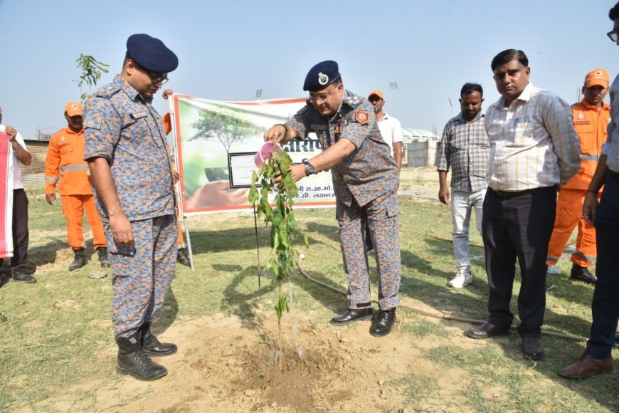 Lucknow : लखनऊ में 11 एनडीआरएफ का बड़ा अभियान, पर्यावरण दिवस पर लगाए गए छायादार और औषधीय पौधे