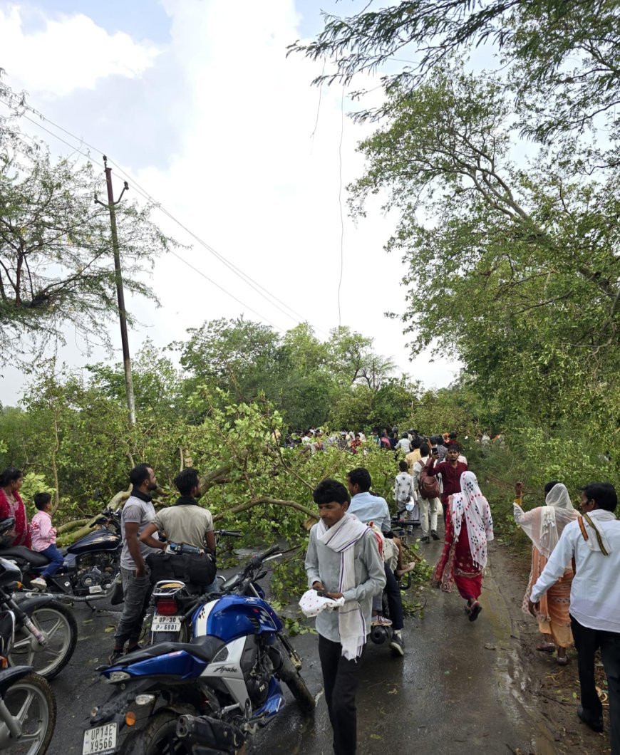 Hardoi : आंधी और तूफान से संडीला में जनजीवन बेपटरी, पेड़ गिरने से रास्ते बंद और बिजली गुल