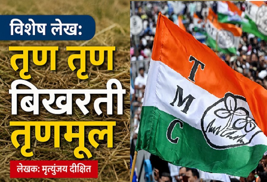 विशेष लेख: तृण तृण बिखरती तृणमूल