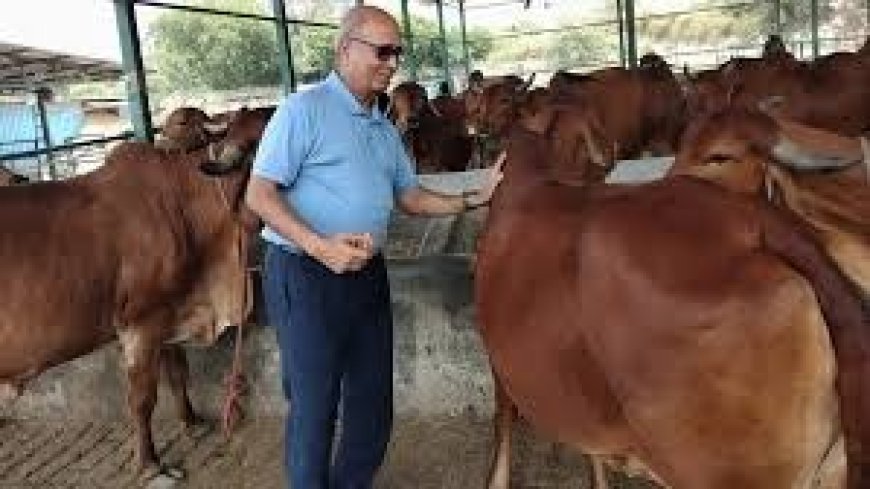 Lucknow : डेनिश डेयरी टेक्नोलॉजी से देसी गायों के दूध के उत्पाद बना यूपी बना देश का 'धुरंधर