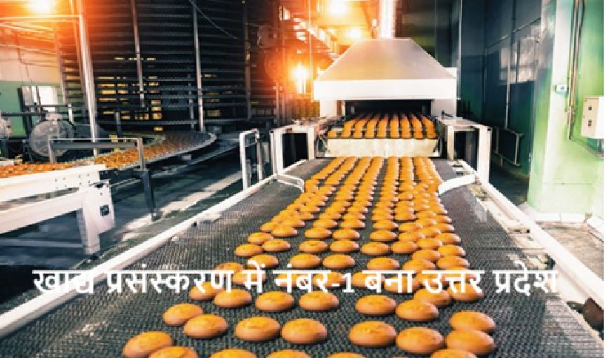 खाद्य प्रसंस्करण में नंबर-1 बना उत्तर प्रदेश, देश का सबसे बड़ा फूड प्रोसेसिंग हब