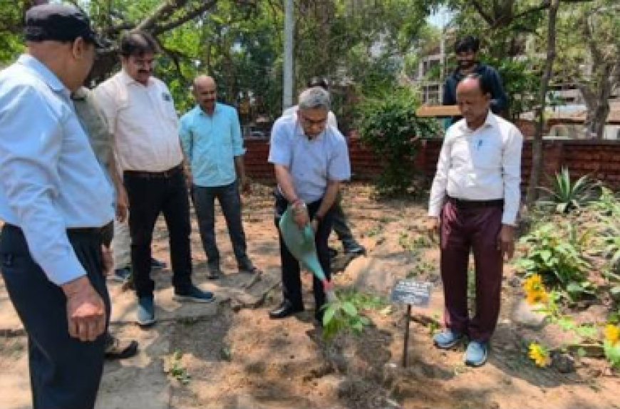 Lucknow : राष्ट्रीय स्तर पर स्वच्छता व हरियाली में यूपी के परिषदीय विद्यालयों का परचम, 6 परिषदीय और 2 कस्तूरबा गांधी विद्यालय राष्ट्रीय स्तर पर चयनित