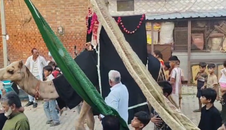 Sambhal : मोहर्रम की अज़ादारी में गूंजा या हुसैन- सम्भल में निकला परम्परागत मातमी जुलूस, अजादारों ने किया मातम