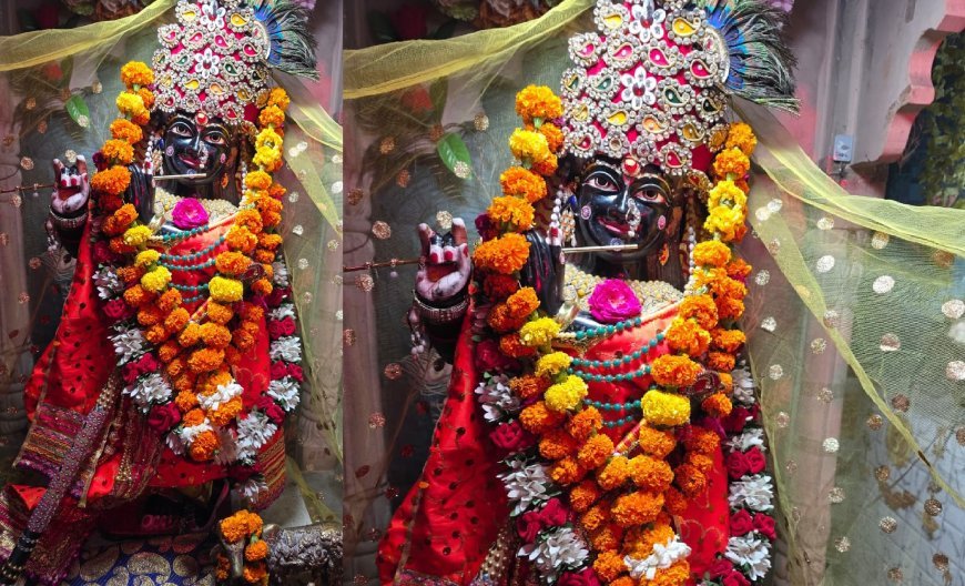 Hardoi : हरदोई में बांके बिहारी लाल सरकार का तीसरा प्राण प्रतिष्ठा उत्सव कल, भव्य आयोजन की तैयारियां पूरीं