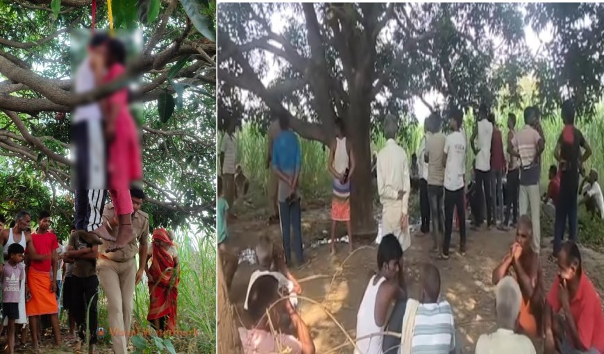 Sitapur : सीतापुर में प्रेमी युगल ने आम के बाग में फंदा लगाकर दी जान, इलाके में मची सनसनी
