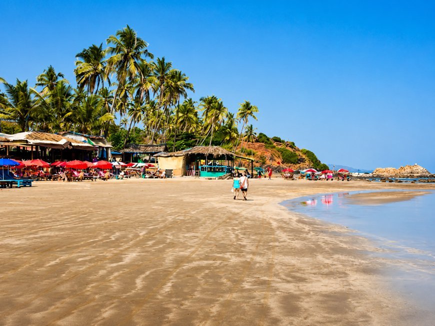 Goa Beach Accident: नशा, जिद और मौत; गोवा में चट्टान पर रील या सेल्फी के चक्कर में लहरों संग बहा सैलानी