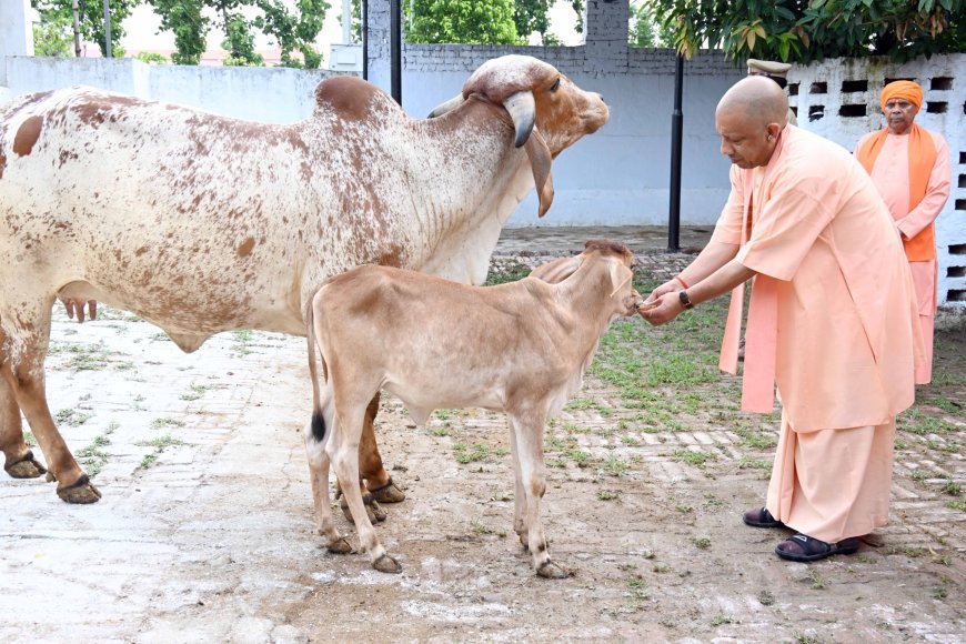Gorakhpur : गोरखनाथ मंदिर में मुख्यमंत्री ने सुनीं फरियादियों की समस्याएं, अधिकारियों को दिए तुरंत मदद के निर्देश