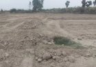 Hardoi: खेत की मेंड तोड़ने को लेकर विवाद, बुजुर्ग को लाठी-डंडों से पीटा