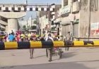 Sitapur Railway Crossing Danger: स्कूल पहुंचने की होड़ में जान जोखिम में डाल रहे बच्चे, बंद फाटक के नीचे से पार कर रहे पटरी