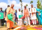 यूपी में पौधरोपण महायज्ञ: 13 प्रमुख नदियों के किनारे लगेंगे 3.83 करोड़ से अधिक पौधे, सरकार ने तैयार किया बड़ा प्लान
