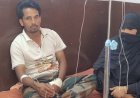 Sambhal: हजारों सांपों को बचाने वाला 'स्नेक सेवर' खुद बना कोबरा का शिकार, रेस्क्यू के दौरान डंसा, एंटी वेनम से बची जान