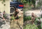 Hardoi News: अरवल थाने में एक पेड़ मां के नाम अभियान, थानाध्यक्ष अनिल कुमार सिंह ने टीम के साथ रोपे पौधे