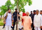 Gorakhpur News: गोरखपुर में सीएम योगी ने लगाया मौलश्री का पौधा, कहा- पेड़ों के कटान से खड़ा होगा जल संकट