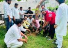 Hardoi News: हरदोई में भाजपा कार्यकर्ताओं ने किया पौधारोपण, 'एक वृक्ष सौ पुत्र समान' का दिया संदेश