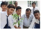 Sitapur: स्टडी प्वाइंट इंटर कॉलेज में वृक्षारोपण, छात्रों को वितरित किए गए फलदार व औषधीय पौधे।