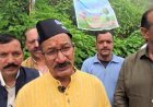 हरेला पर हरियाली का संकल्प माल रोड पर लगे छायादार और फूलदार पौधे, हर पौधे का बना ‘संरक्षक’