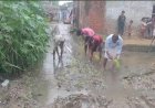 Sitapur News: बदहाल सड़क और जलभराव से परेशान ग्रामीणों का अनोखा प्रदर्शन, रास्ते में धान रोपकर जताया विरोध