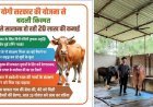 योगी सरकार की डेयरी योजना से बदली युवक की तकदीर, सालाना 20 लाख की कमाई का बना मॉडल