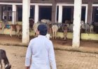Sitapur News: खैराबाद में नगर पालिका अध्यक्ष प्रतिनिधि ने किया विकास कार्यों और गौशाला का निरीक्षण