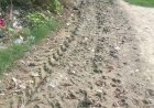 Sitapur News: सकरन की भैंसहा ग्राम पंचायत में विकास कार्य ठप, ग्रामीणों ने अधिकारियों से की शिकायत