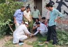 Sambhal News: सांसें बचानी हैं तो पेड़ लगाएं, अब्बासी सोसाइटी ने स्टेडियम में चलाया पौधारोपण अभियान