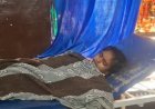 Hardoi: तेज रफ्तार बाइक की टक्कर से साइकिल सवार छात्रा गंभीर घायल, CHC में भर्ती