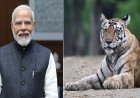 International Tiger Day: अंतरराष्ट्रीय बाघ दिवस पर पीएम मोदी का संदेश: बाघ संरक्षण के प्रति भारत की प्रतिबद्धता दोहराई