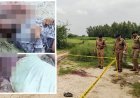 Hardoi: संडीला में दोहरे हत्याकांड से सनसनी: सड़क किनारे मिले दो युवकों के क्षत-विक्षत शव, एसपी ने गठित की तीन टीमें