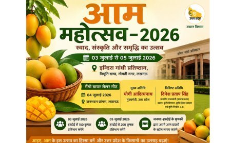 हरदोई के किसानों को मिलेगा बड़ा मंच, आम महोत्सव-2026 में 350 कृषक करेंगे प्रतिभाग