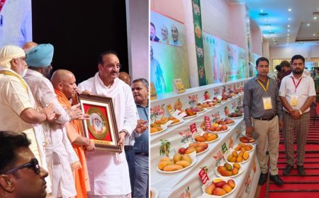 CM योगी ने किया आम महोत्सव-2026 का शुभारंभ, 800+ आम की वैरायटी प्रदर्शित, हरदोई के 150 किसानों ने लिया हिस्सा